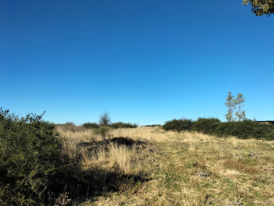4 Bedroom Property for Sale in Edenburg Rural Free State